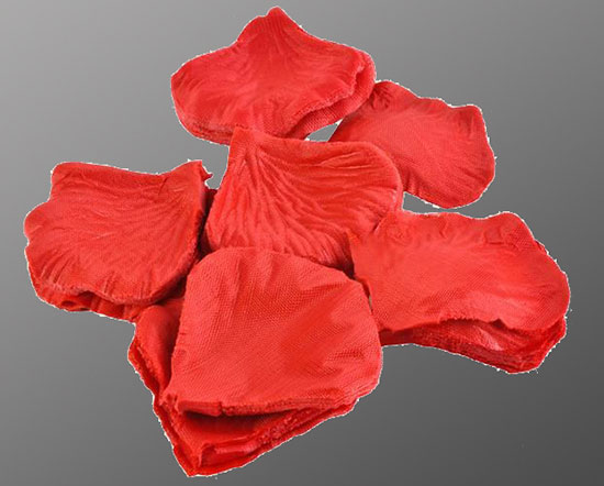 Lupienky ruží 150 kusov 26-5D