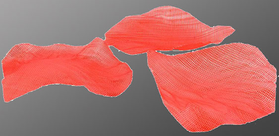 Lupienky ruží 150 kusov 26-5D