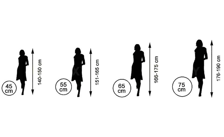 FitBall Gymnastická lopta s pumpou 75cm červená