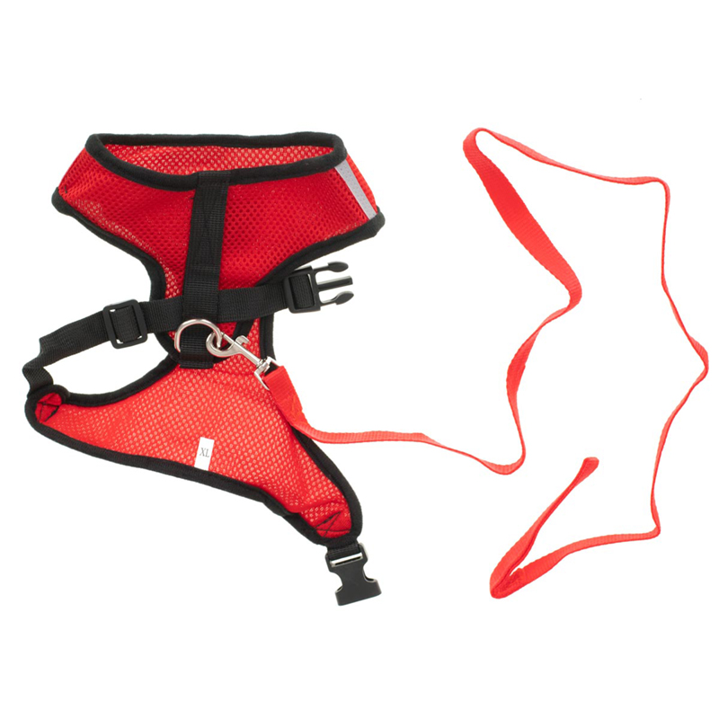 Reflexný postroj pre psa s vodítkom modrý L