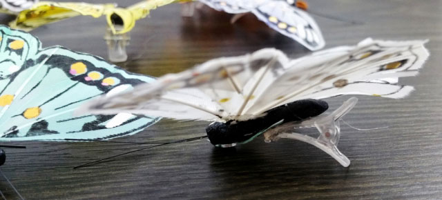 Dekorácia motýle sada troch kusov