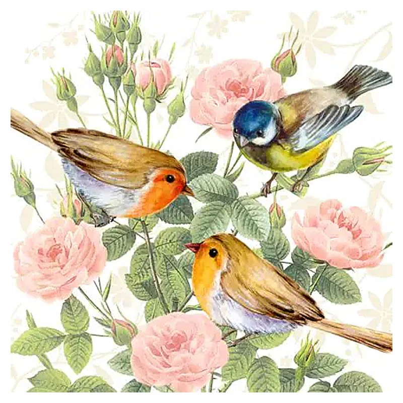 Servítky Atelier 33x33cm 20ks Birds