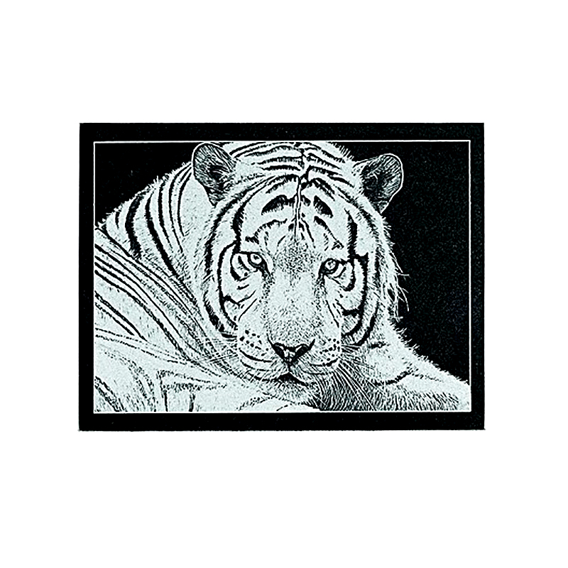 Žulová plaketa - Obdĺžnik 18x13cm 