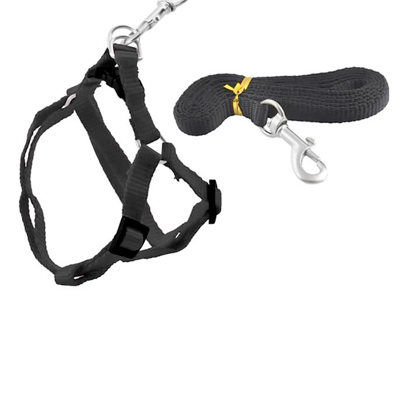 Vodítko pre psa s popruhmi 122cm