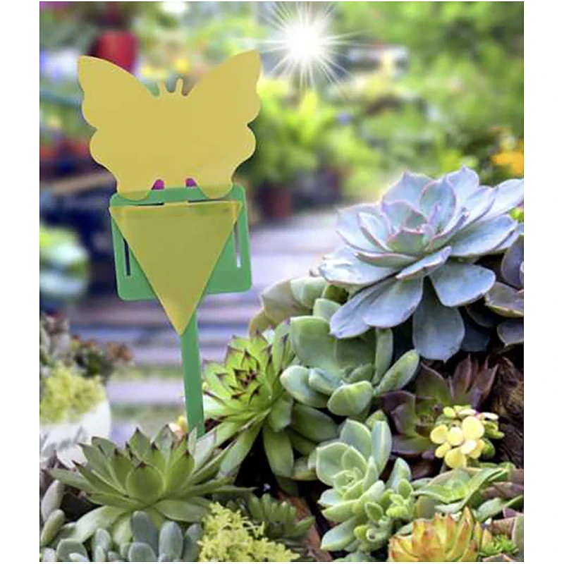 Lepiace pasce na hmyz – 12 ks