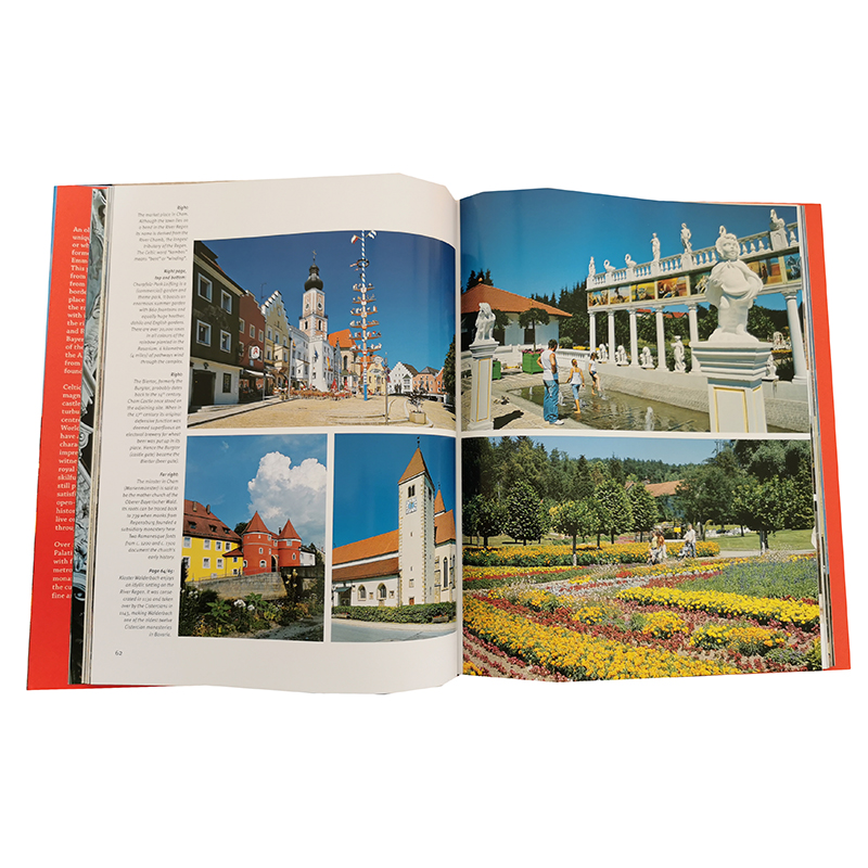 Kniha v anglickom jazyku upper palatinate