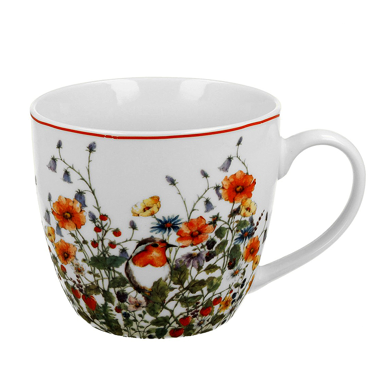 WILD BIRD - Porcelánový hrnček v darčekovej krabičke 460ml