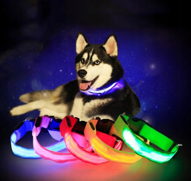 Obojok svietiaci LED nastaviteľný 36-59cm