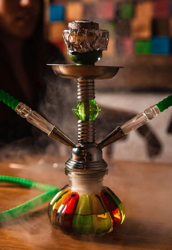 Inhalátor s hadičkami 26cm/2 multikolor