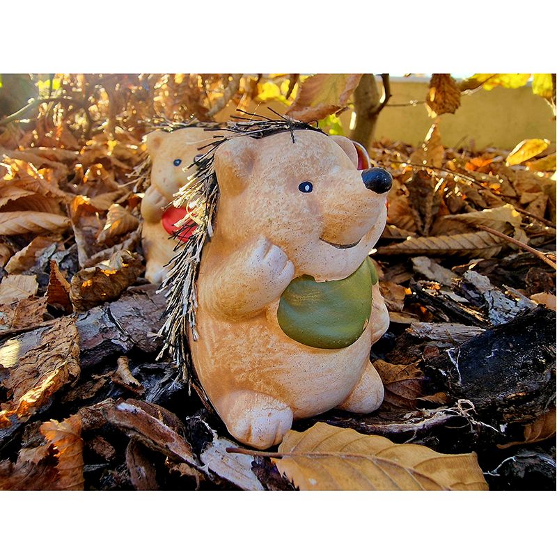 Ježko s pichliačmi 