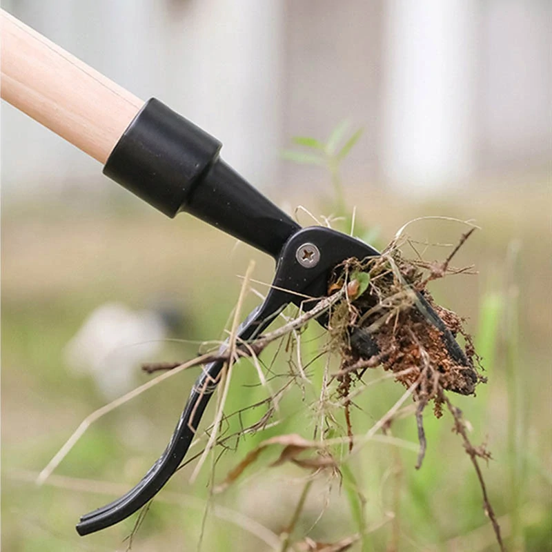 Odstraňovač buriny