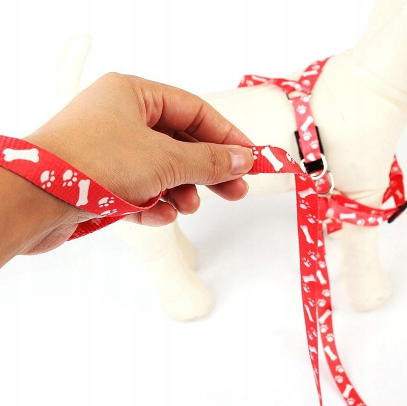 Postroj s vodítkom pre mačku, králika XS