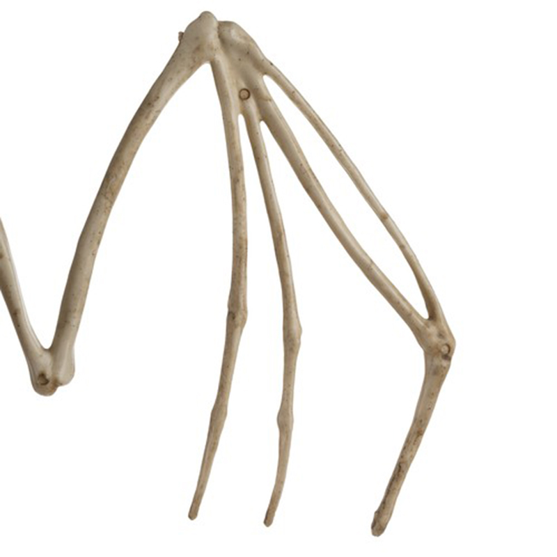 Halloweenska dekorácia Kostra netopiera 30cm