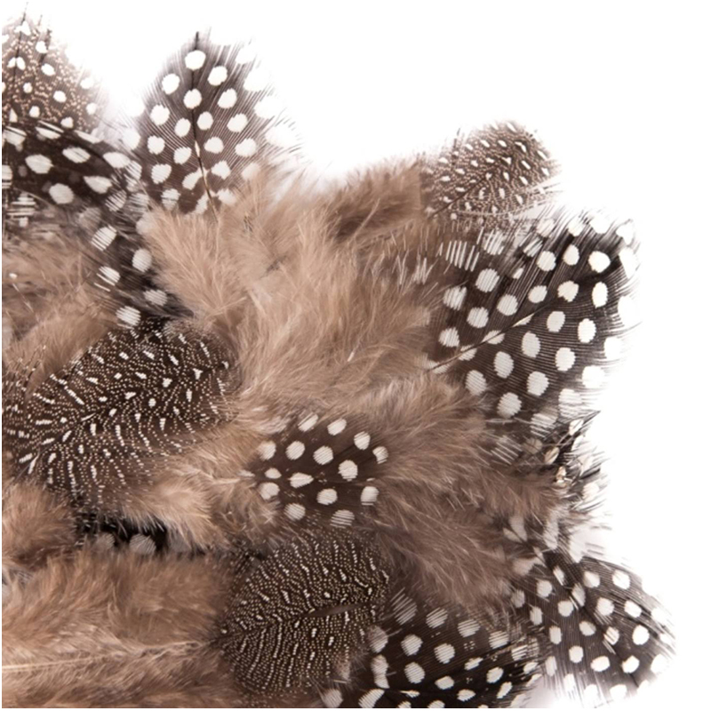 PIERROT - Dekoračné pierka vtákov