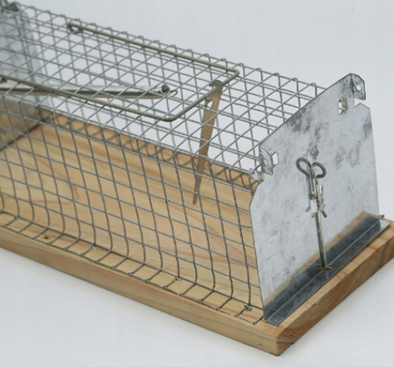 Humánna pasca na odchyt živých myši 15x6x7cm