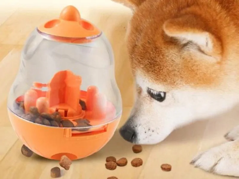 Interaktívna hračka pre psa - Dávkovač pamlskov