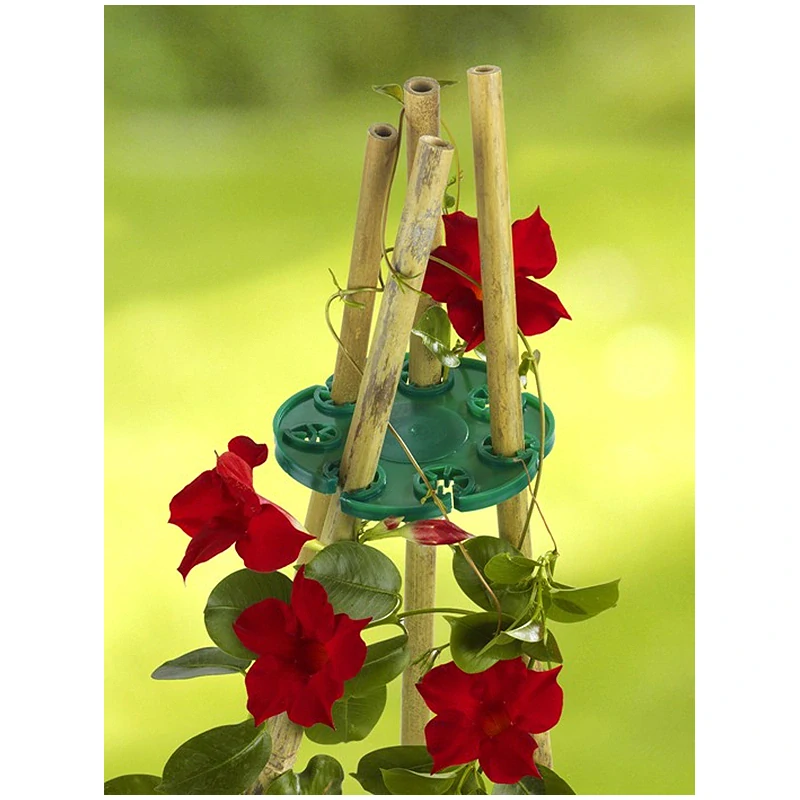 WENKO Rank-Fix - Podpera pre rastliny 2 ks - 