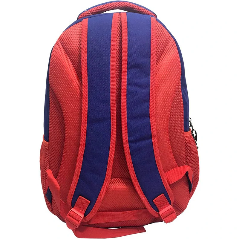 Športový batoh FIFA World Cup - France: 45 x 30 x 12cm