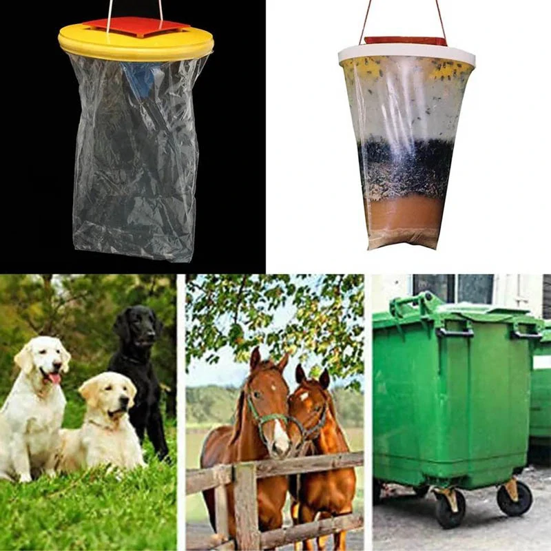 Ekologický lapač na hmyz s návnadou