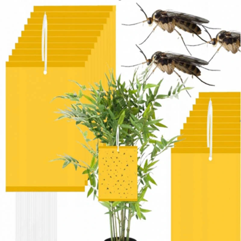 Lepiace pásky na hmyz 20ks