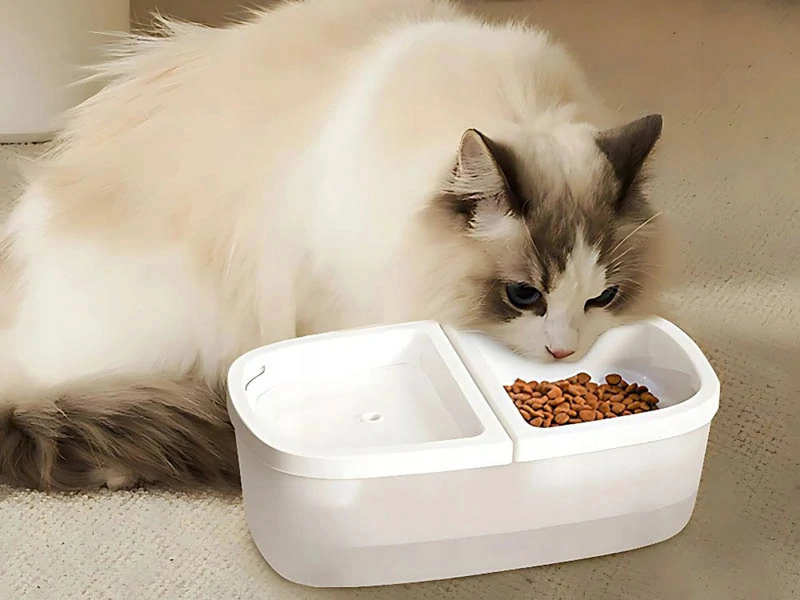 Miska pre psa a mačku s fontánkou