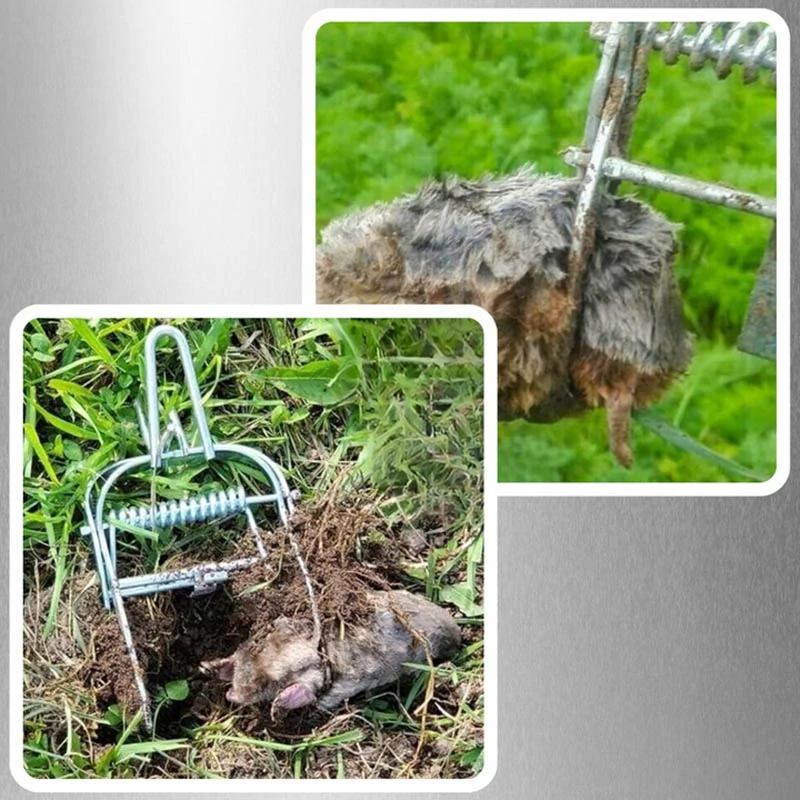 Kovová pasca na krtkov a hraboše