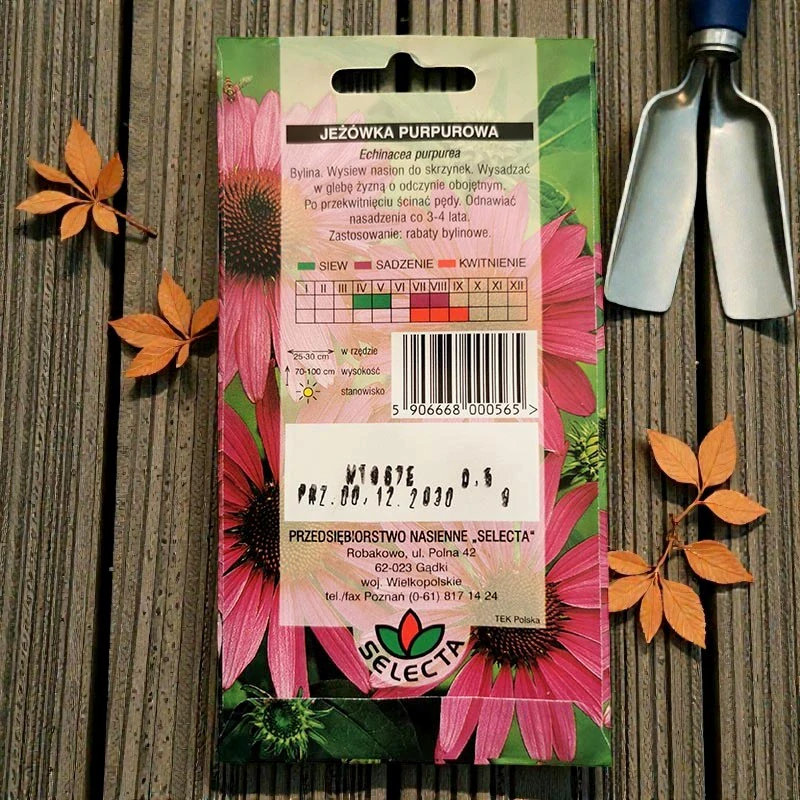 Ježovka purpurová – semienka Echinacea purpurea 0,5g