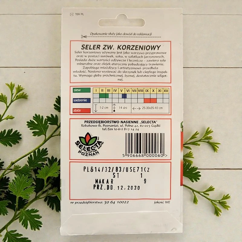 Zeler koreňový Makara – semienka Apium graveolens 1g