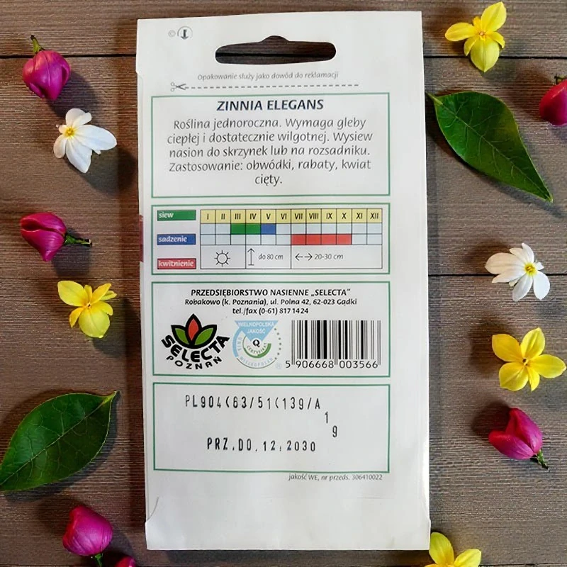 Cínia dalíová Scarlet – semienka Zinnia elegans 1g