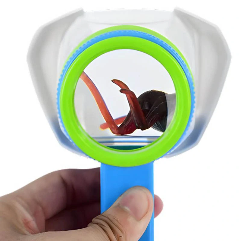 Lupa na pozorovanie hmyzu