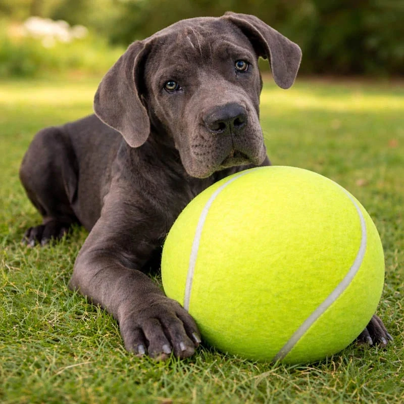 Vlnitá tenisová loptička cca 20 cm