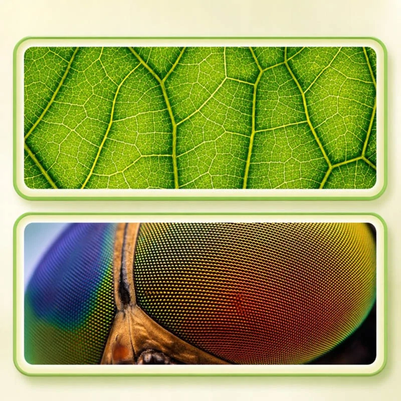 Mikroskop digitálny s LCD displejom 1000× a LED osvetlením