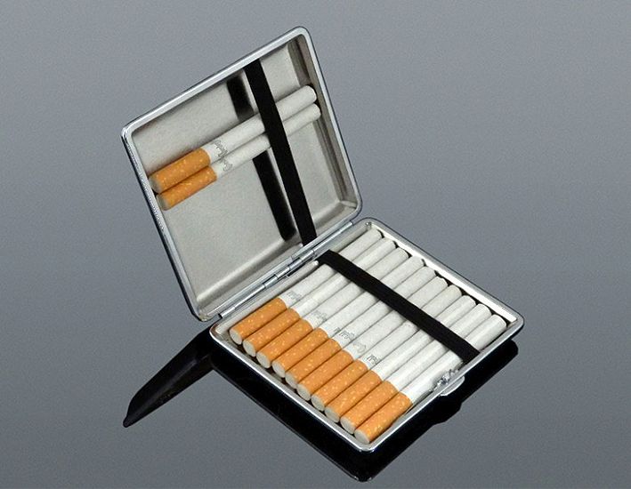 Puzdro s motívom PETS