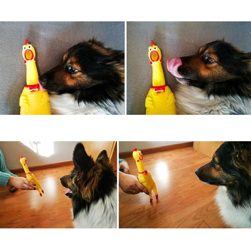 Hračka pre psa Kurča 31cm