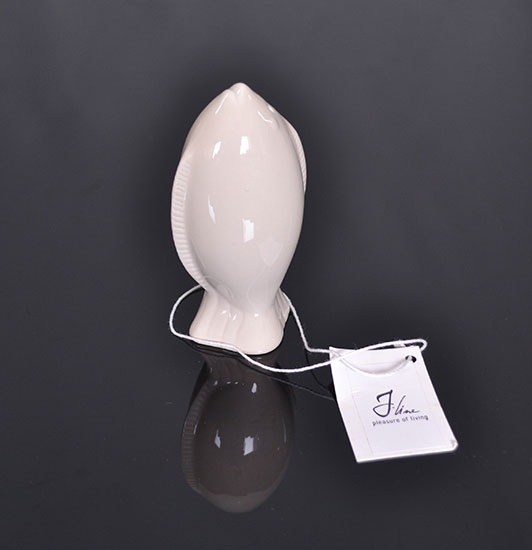 Solnička s koreničkou Ryba