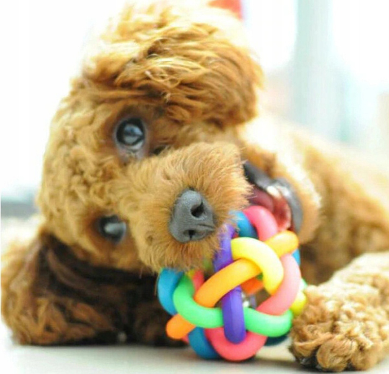 Hračka pre psa Lopta pletená so zvončekom