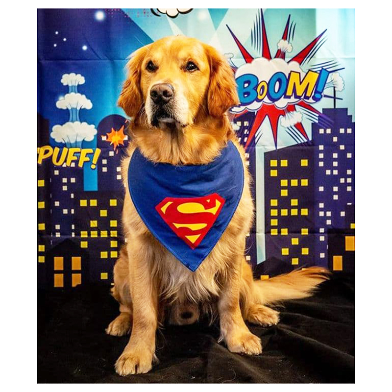 Obojok pre psa Superman