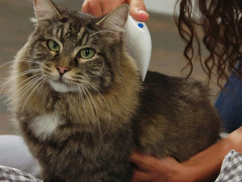 Elektrický hrebeň na blchy pre psov a mačky