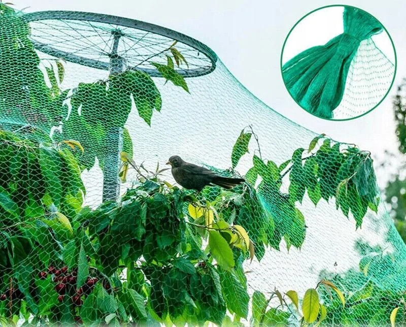Ochranná sieť proti vtákom 4x10 metrov zelená