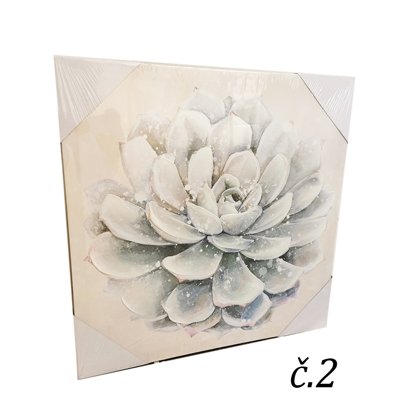 Obraz na stenu biely