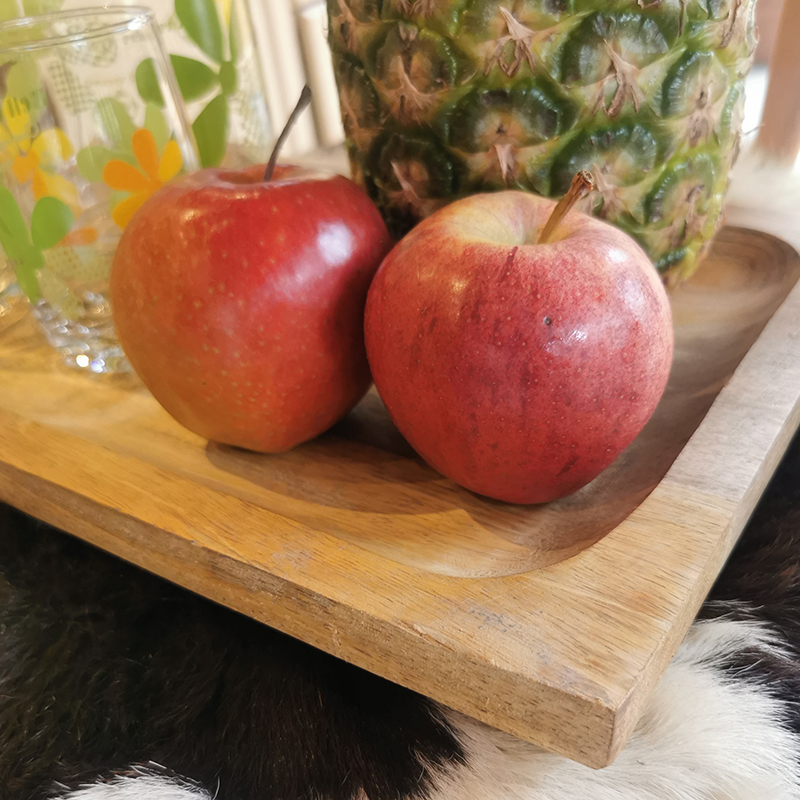 Podnos z mangového dreva