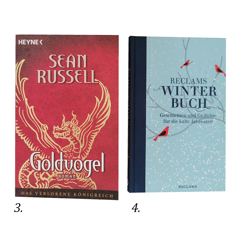 Kniha v nemeckom jazyku