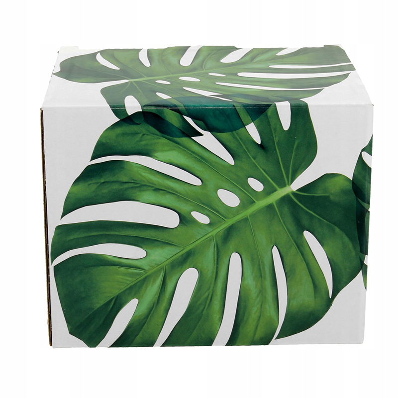 TROPICAL - Porcelánový hrnček v darčekovej krabičke 450ml