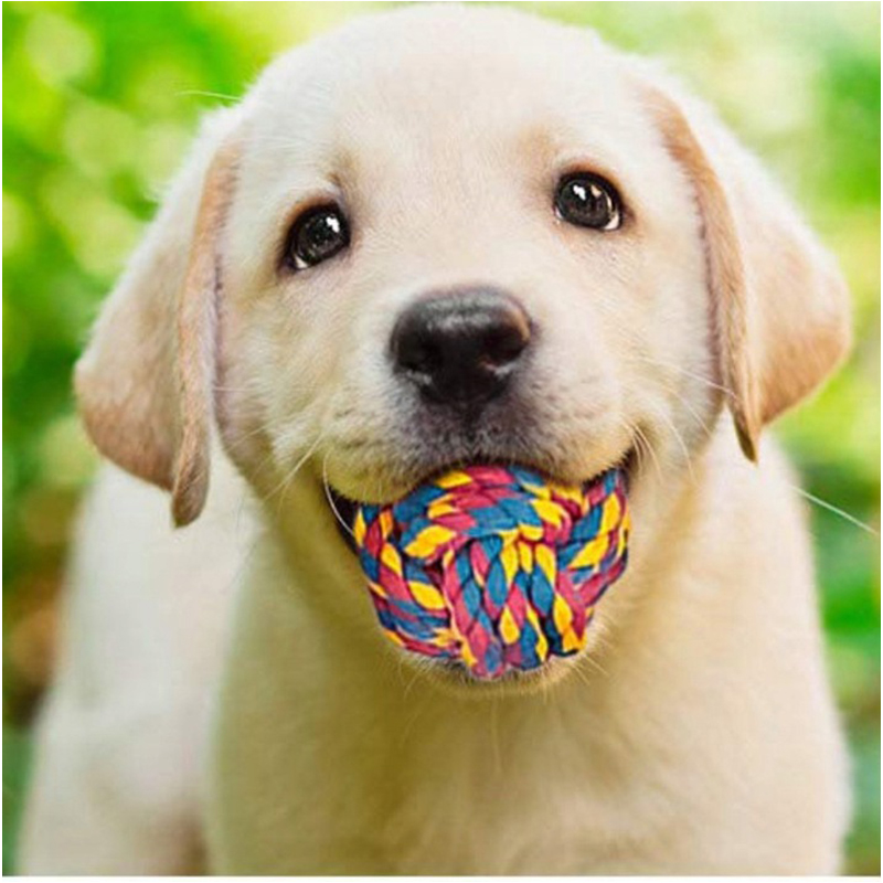 Hračka pre psa- Pletená špagátová lopta 6 cm