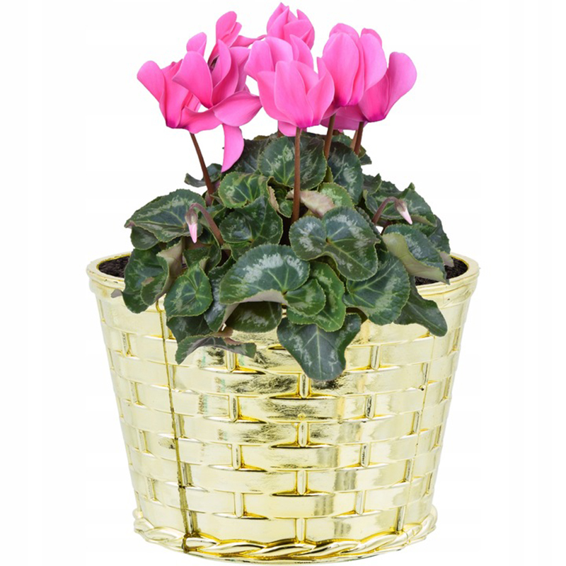 Kvetináč plastový 7cm