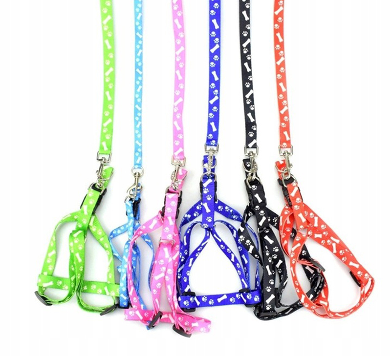 Postroj s vodítkom pre mačku, králika XS