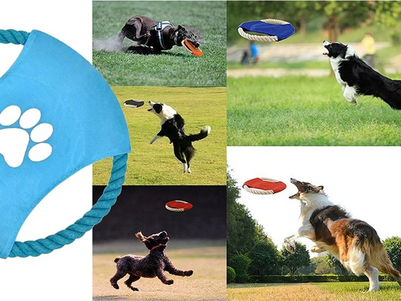 Hračka pre psa Frisbee