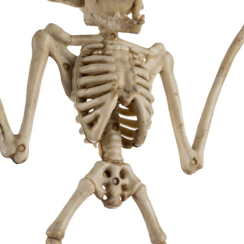 Halloweenska dekorácia Kostra netopiera 30cm