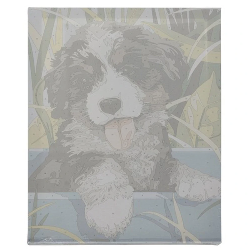 Maľovanie podľa čísel 40 x 30 cm Pes