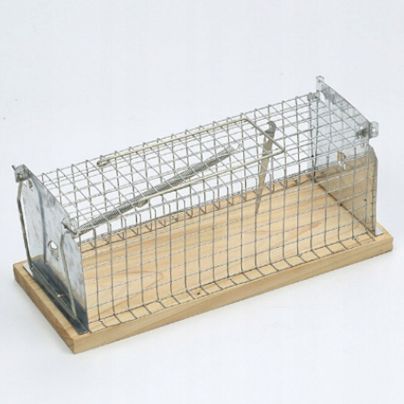 Humánna pasca na odchyt živých myši 15x6x7cm